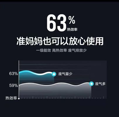電子点火 9 燃焼器用 二重ストーブ 天然ガスとLPG家庭用キッチン