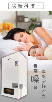 バランス排気型 壁掛け コンビガスボイラー リビング室の暖房に最適